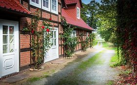 Landhaus Elbeflair Bei Dömitz Lenzerwische 3*